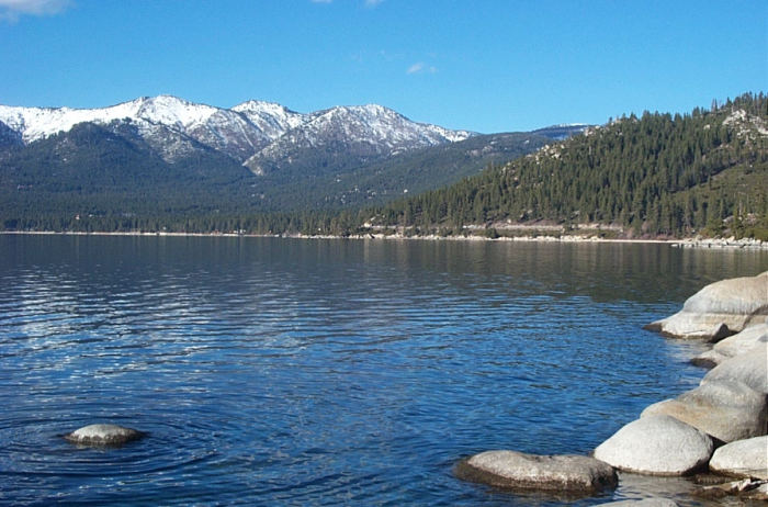 Tahoe City Movers