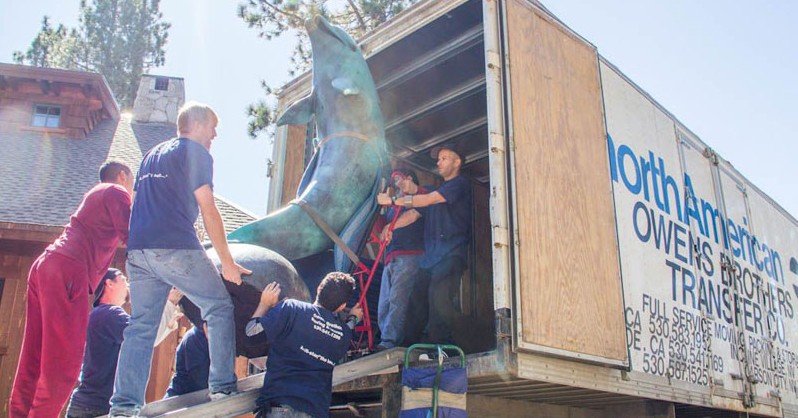 A 1,200lb Dolphin at Lake Tahoe